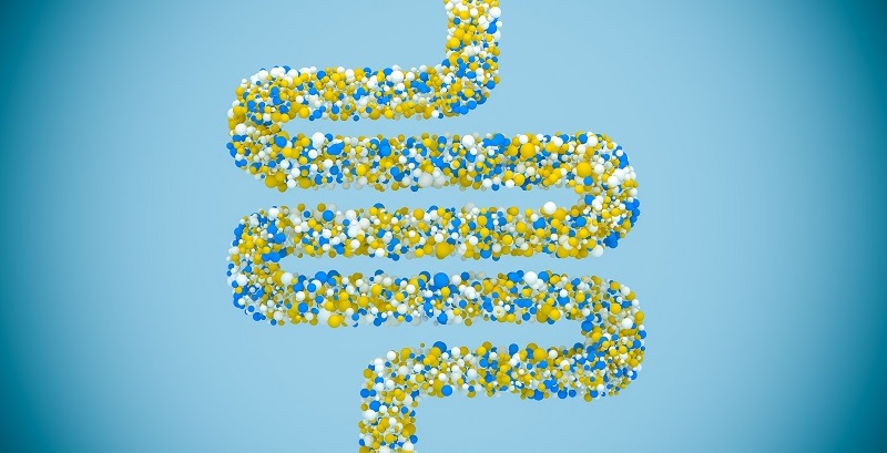Mikrobiom – náš druhý mozek